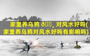 家里养乌鸦 🌸 对风水好吗(家里养乌鸦对风水好吗有影响吗)